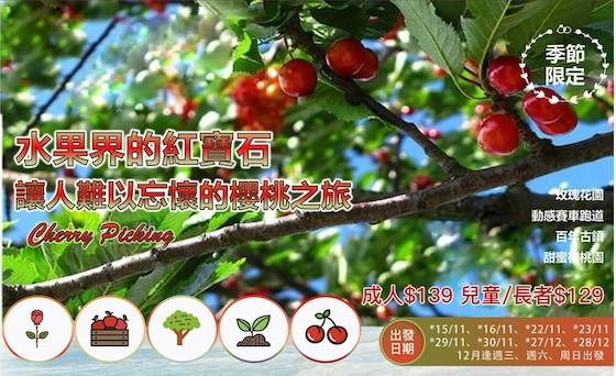 BR悉尼樱桃采摘一日游- Orange 樱桃果园 即摘即食+免小费+含早茶+午晚餐